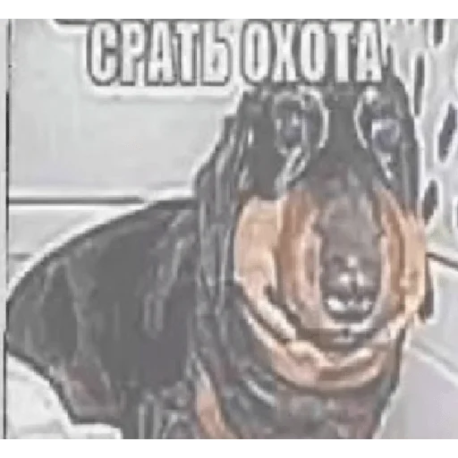 ☺️ Стикер «×КринжСтикеры× 2» для Telegram