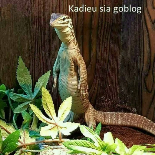 🤩 Стикер «asdfghjkl teraa mood x» для Telegram