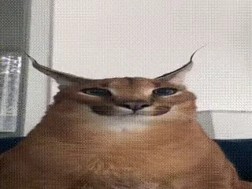 🐈 Стикер «Mad Cat Video» для Telegram
