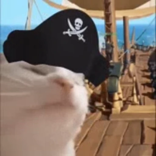 🐈 Стикер «Mad Cat Video» для Telegram
