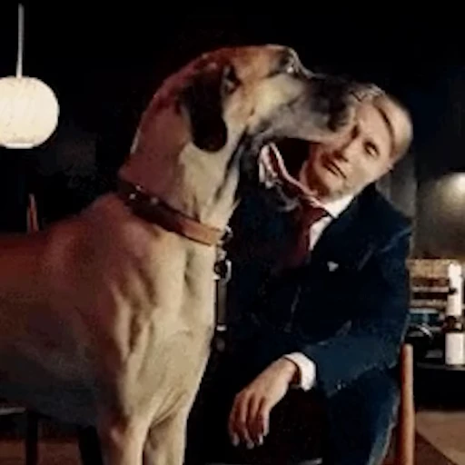 🐕 Стикер «Мадс Миккельсен» для Telegram