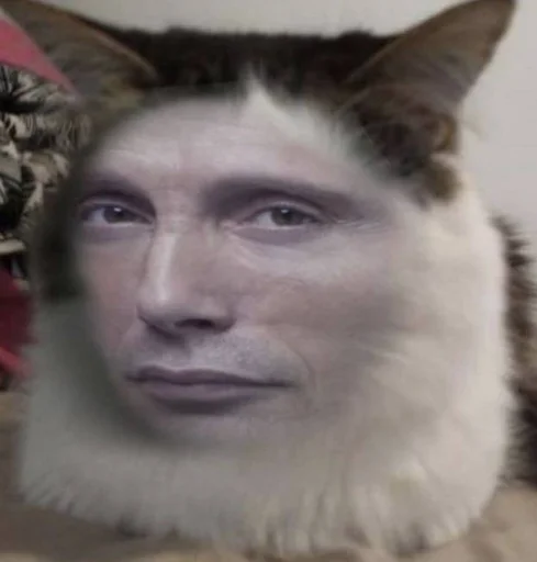 😑 Стикер «beloved mads» для Telegram