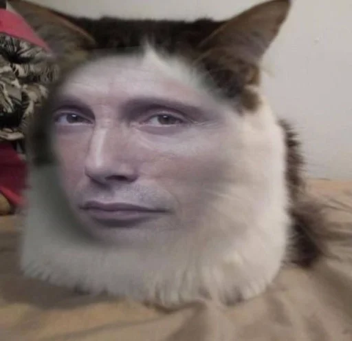🐱 Стикер «Mads Mikkelsen» для Telegram