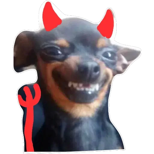 👹 Стикер «MaestroSexo» для Telegram