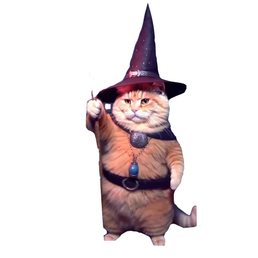 🎩 Стикер «Magic Сat» для Telegram