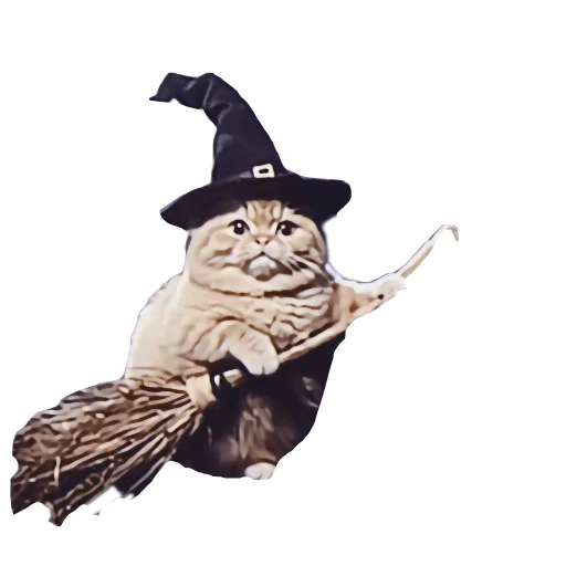 🎩 Стикер «Magic Сat» для Telegram