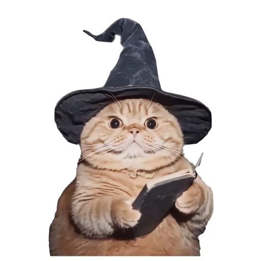 🐱 Стикер «Magic Сat» для Telegram
