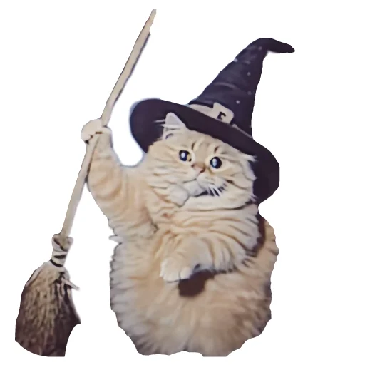 🐱 Стикер «Magic Сat» для Telegram