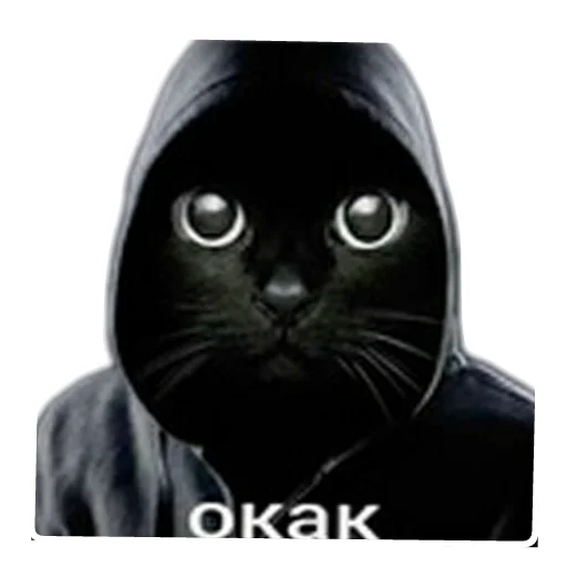 🐱 Стикер «Magic Сat» для Telegram