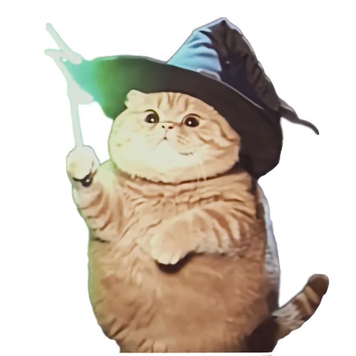 🐱 Стикер «Magic Сat» для Telegram