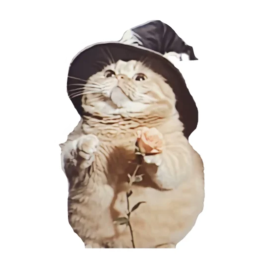 🐱 Стикер «Magic Сat» для Telegram