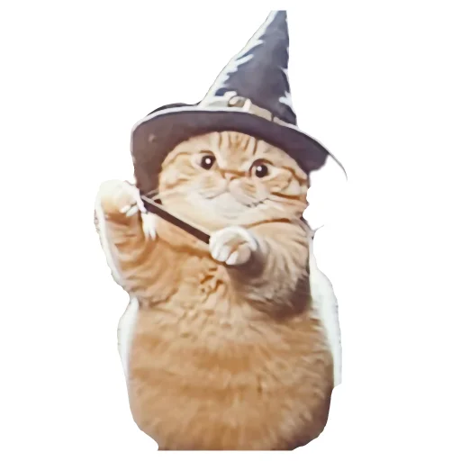 🐱 Стикер «Magic Сat» для Telegram