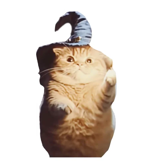 🐱 Стикер «Magic Сat» для Telegram