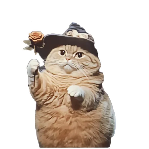 🐱 Стикер «Magic Сat» для Telegram