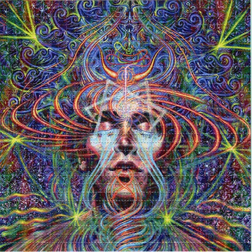 🧠 Стикер «Shrooms» для Telegram