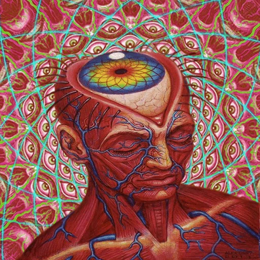 🧠 Стикер «Shrooms» для Telegram