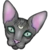 Стикер 46 Witchy Pack