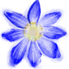 🌺 Эмодзи «Magical» для Telegram