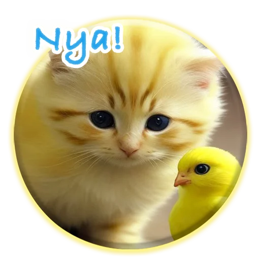 🐈‍⬛️ Стикер «Magic Chicken channel» для Telegram