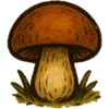 🍄 Эмодзи «Mag Practik shrimp» для Telegram