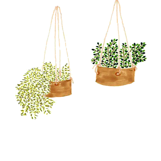 🌿 Стикер «Mahvana» для Telegram