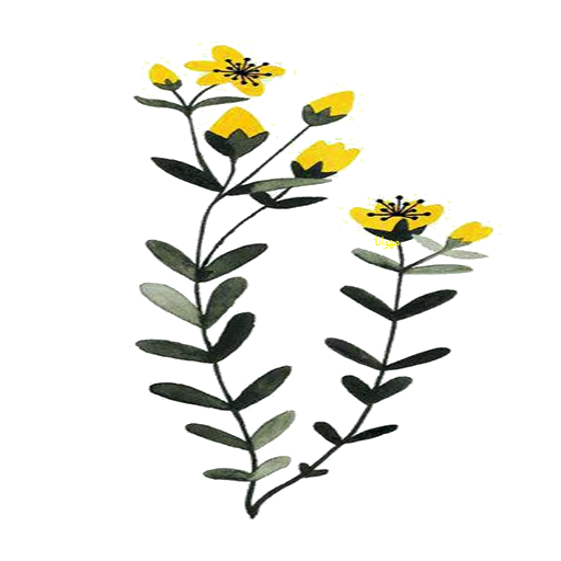 🌼 Стикер «Mahvana» для Telegram