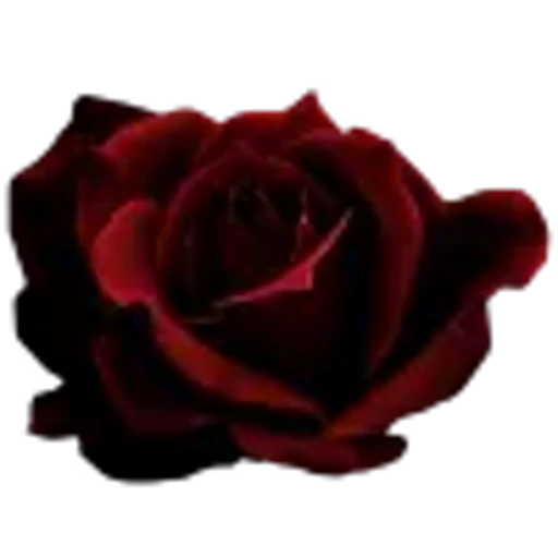 ⛓️ Эмодзи «Makima» для Telegram