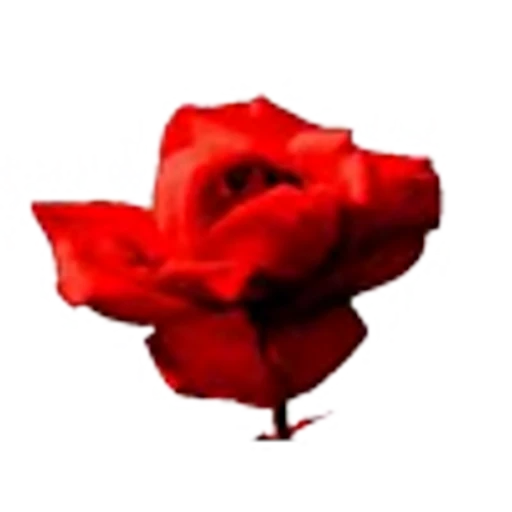 ⛓️ Эмодзи «Makima» для Telegram