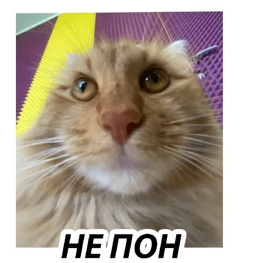 😐 Стикер «BM1» для Telegram