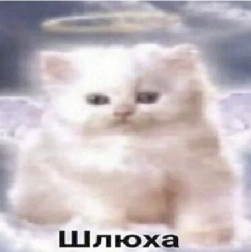 😇 Стикер «mamatraxer» для Telegram