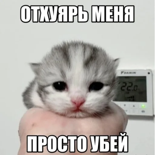 👳‍♂️ Стикер «mamatraxer» для Telegram