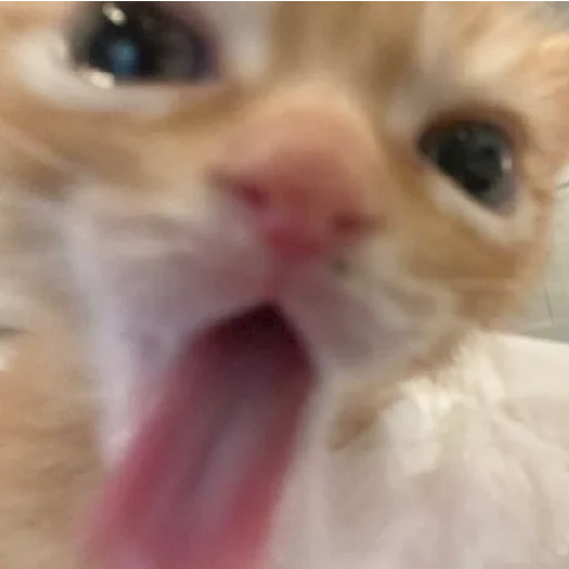 😛 Стикер «mamatraxer» для Telegram