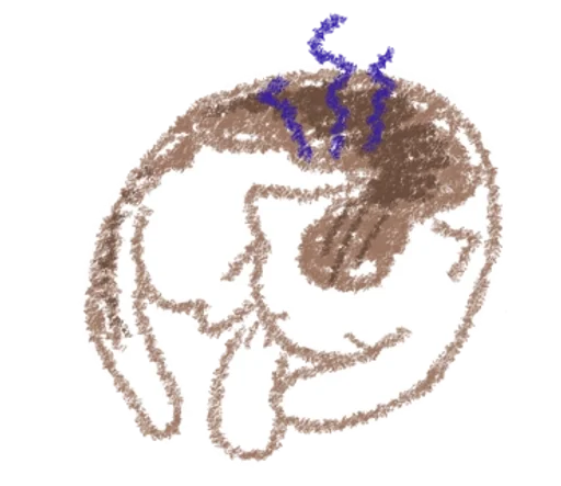☕ Стикер «Mamba Cloke Bum» для Telegram