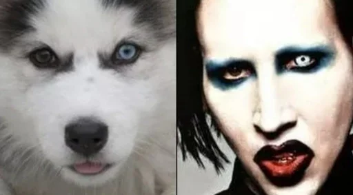 🐶 Стикер «M.Manson» для Telegram