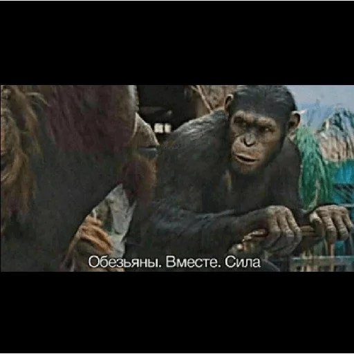 🐒 Стикер «КринжСтикеры» для Telegram