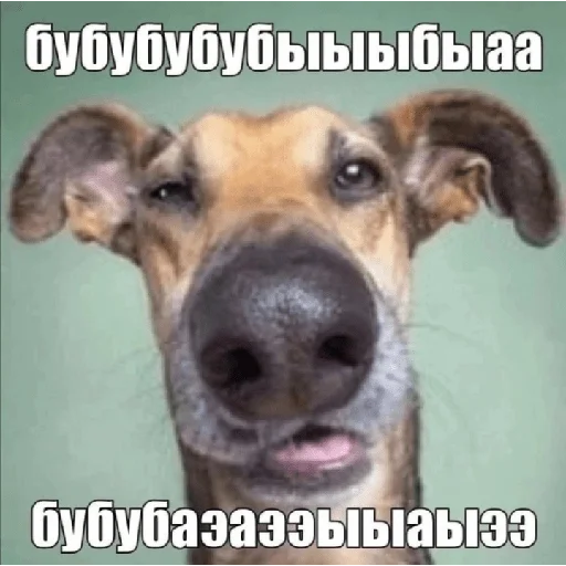 😵‍💫 Стикер «КринжСтикеры» для Telegram