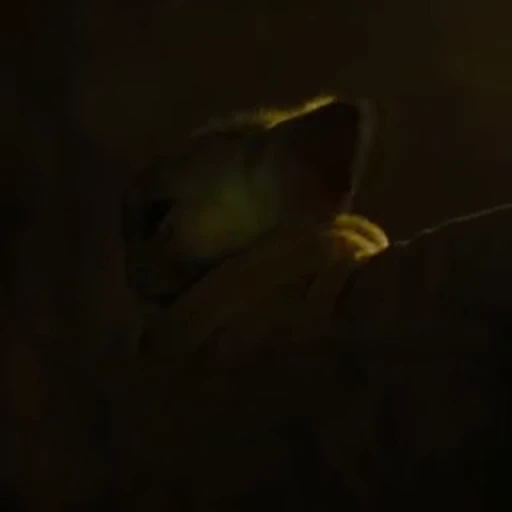 😬 Стикер «Mandalorian S3» для Telegram