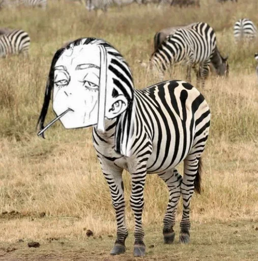 🦓 Стикер «manga tokyo Revengers» для Telegram