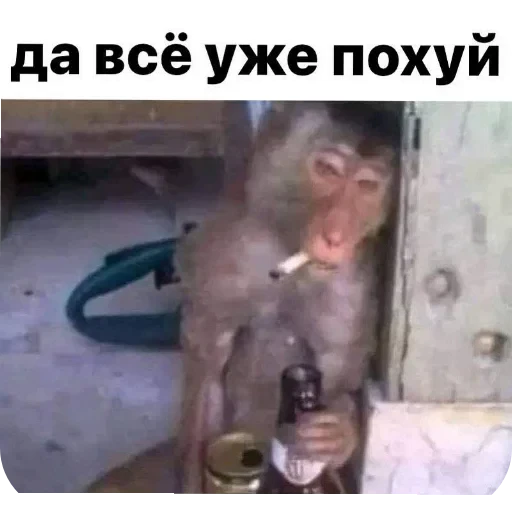 👄 Стикер «Стикеры мангала» для Telegram
