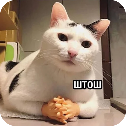 👍 Стикер «Стикеры мангала» для Telegram