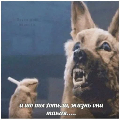 😎 Стикер «Стикеры мангала» для Telegram
