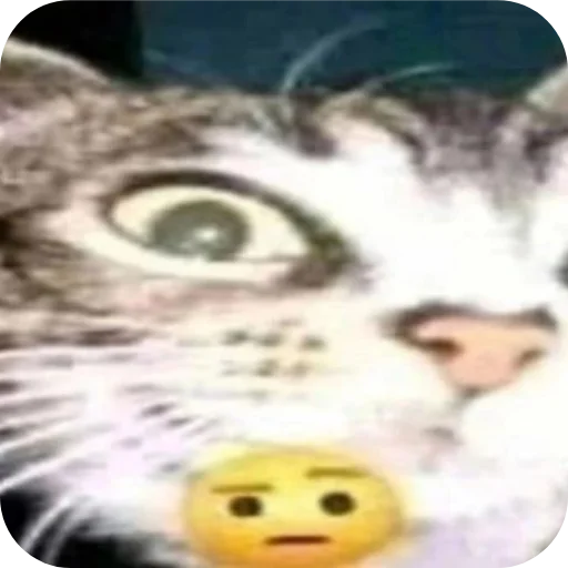 🐱 Стикер «Стикеры мангала» для Telegram