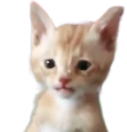 😼 Стикер «Мужчины» для Telegram