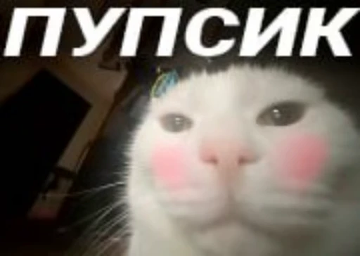 😊 Стикер «Kekwait» для Telegram