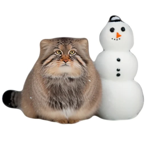 ☃️ Стикер «Winter Manul» для Telegram