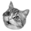 Стикер 8 🐈‍⬛️ котики