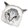 Стикер 36 🐈‍⬛️ котики