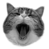 Стикер 7 🐈‍⬛️ котики