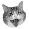 Стикер 15 🐈‍⬛️ котики