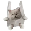 Стикер 40 🐈‍⬛️ котики